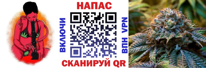 Где купить наркоту Шелехов Метадон  Альфа ПВП  Кокаин  LSD-25  МЕФ  Канабис  Гашиш 