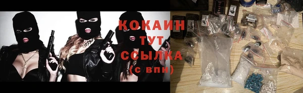 прущий лед Алзамай