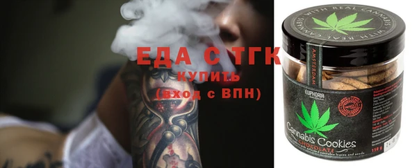 прущий лед Алзамай