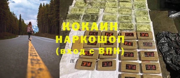 прущий лед Алзамай
